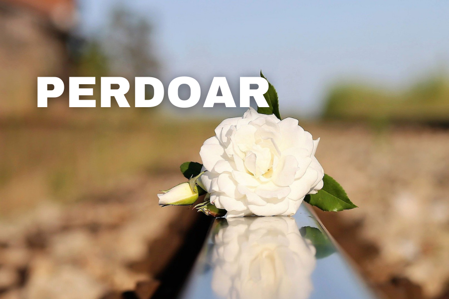 Perdoar